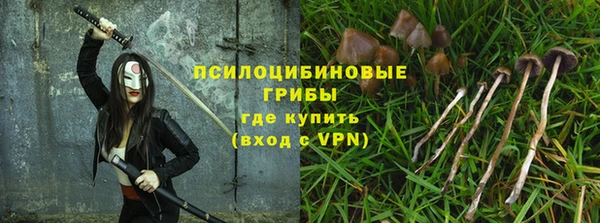 дживик Магадан